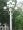Cột đèn sân vườn DC20 làm bằng thép lắp 9 bóng