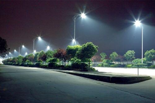 Bạn nên xem đánh giá của khách hàng về các sản phẩm chiếu sáng.