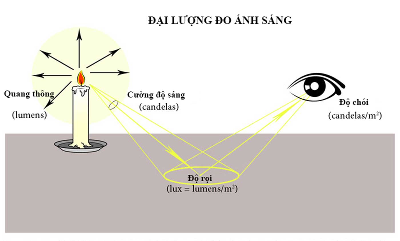 Lumen sẽ cho người dùng biết được lượng ánh sáng mà họ cần